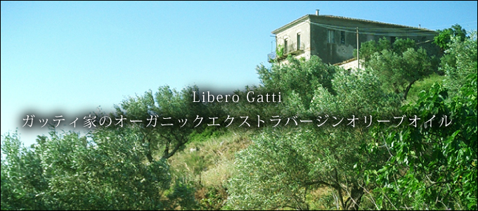 Libero Gatti ガッティ家のオーガニックエクストラバージンオリーブオイル